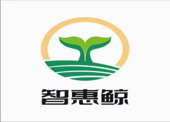 智惠鲸，即将上线，排线大区管够，实体大盘