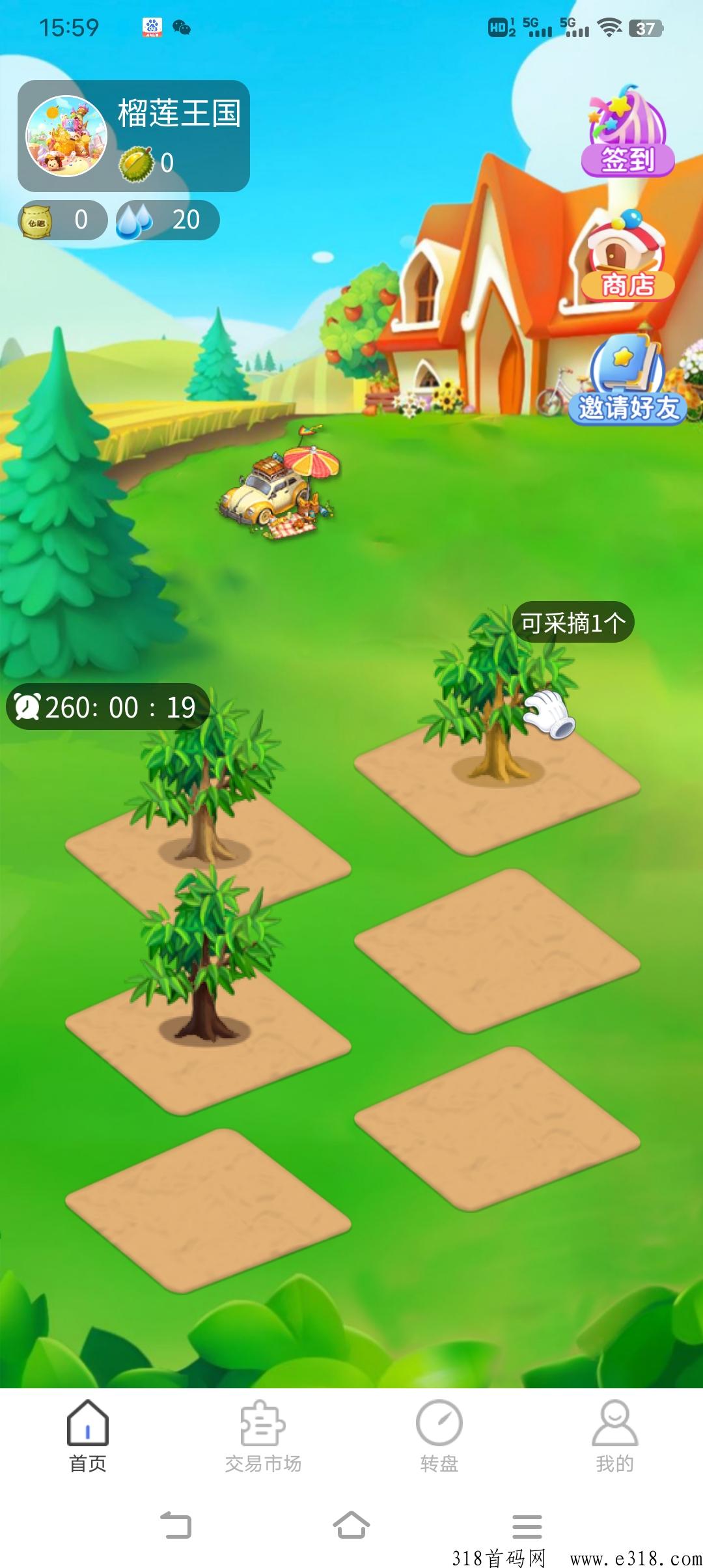 榴莲王国黑马，市场火热，长久落地项目