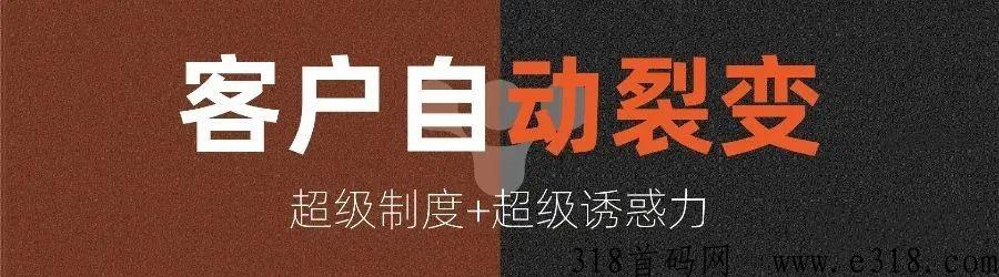 全民拼购+消费盲返聚合商城，裂变招商项目首码
