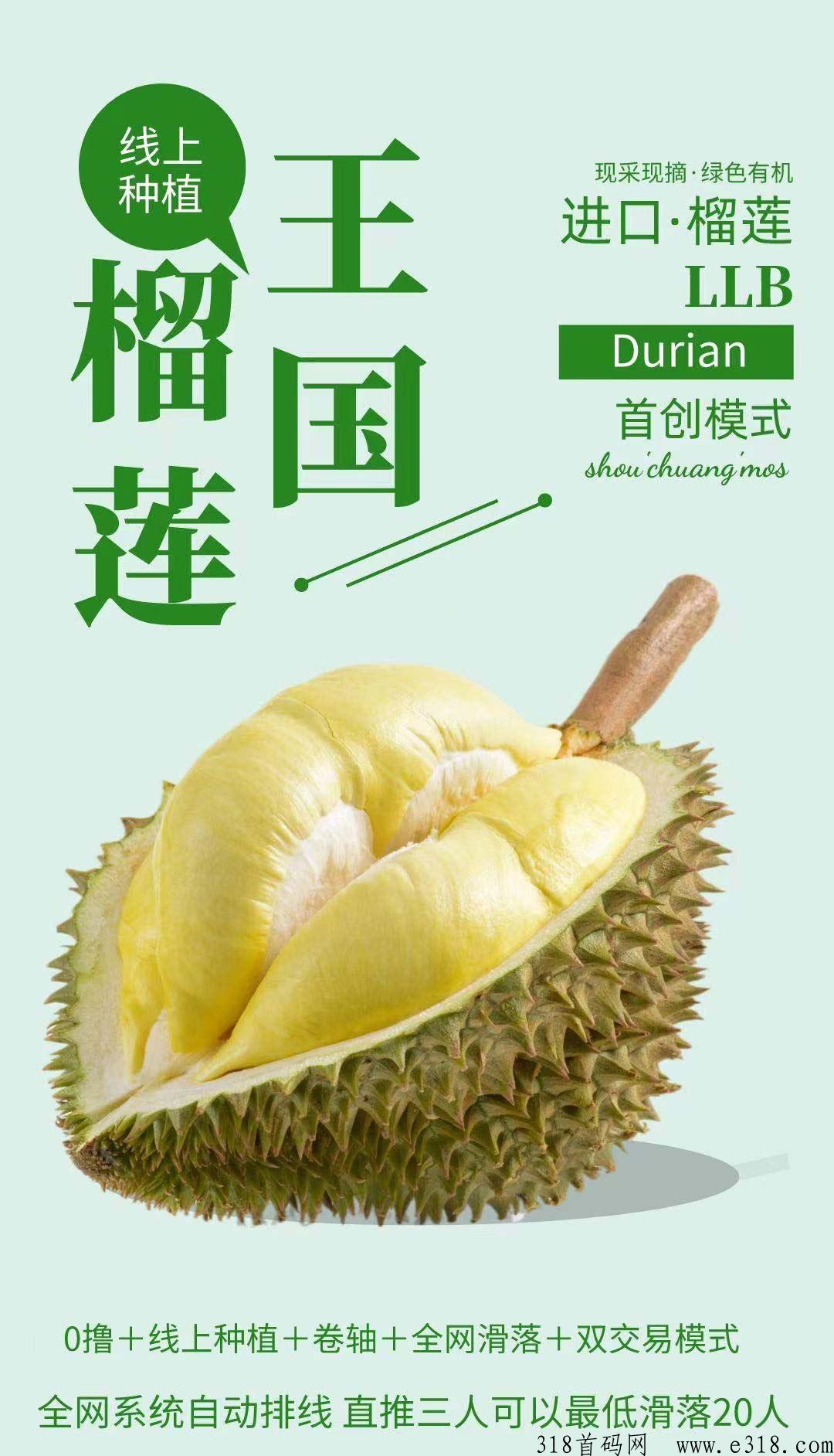 榴莲王国收益正常，撸一个月价高，线下榴莲实体店兑换！