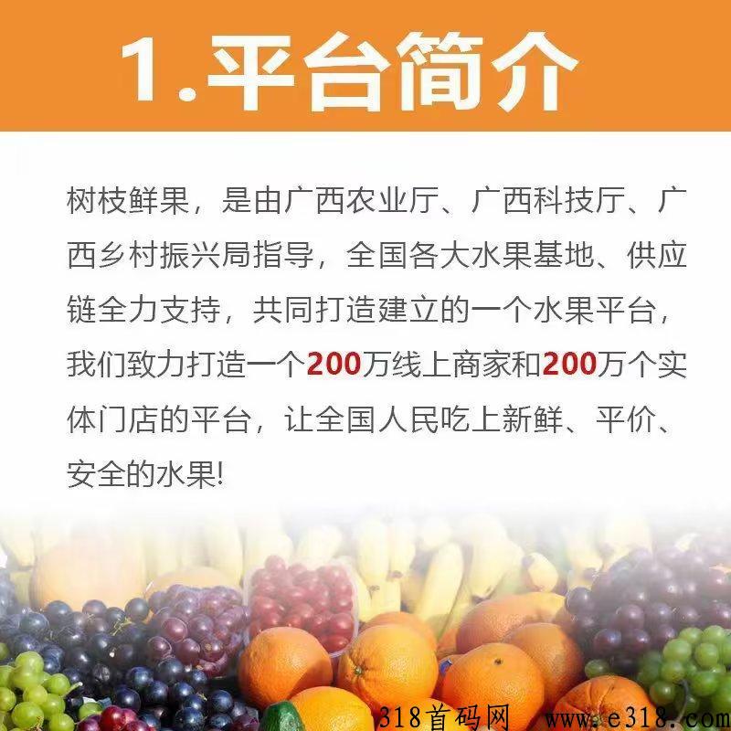 树枝鲜果首码还未上线，即将正式开启，绝对不容错过