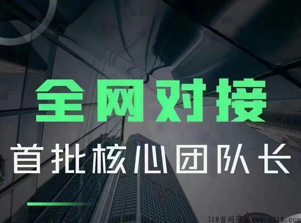 新项目量子宇宙高扶持对接中