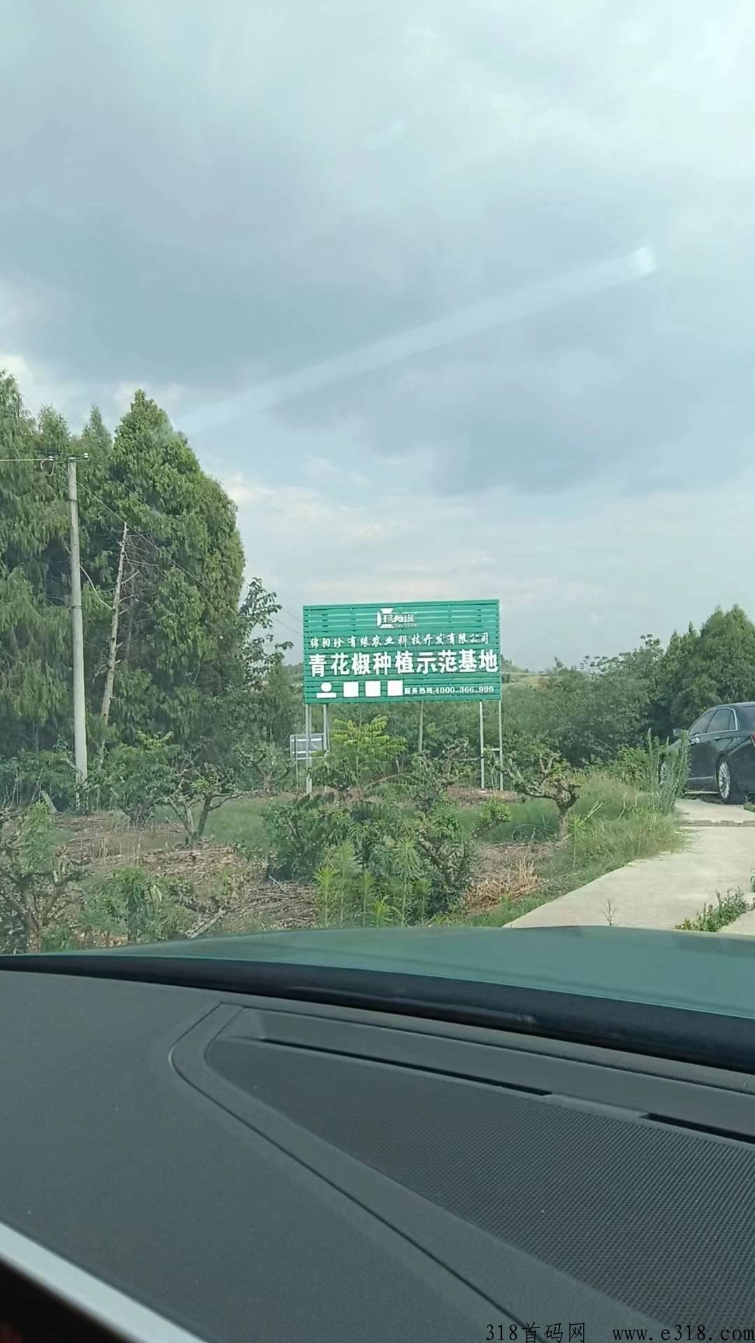 绵阳珍有缘，预热排线，月底启动，模式新颖，先机
