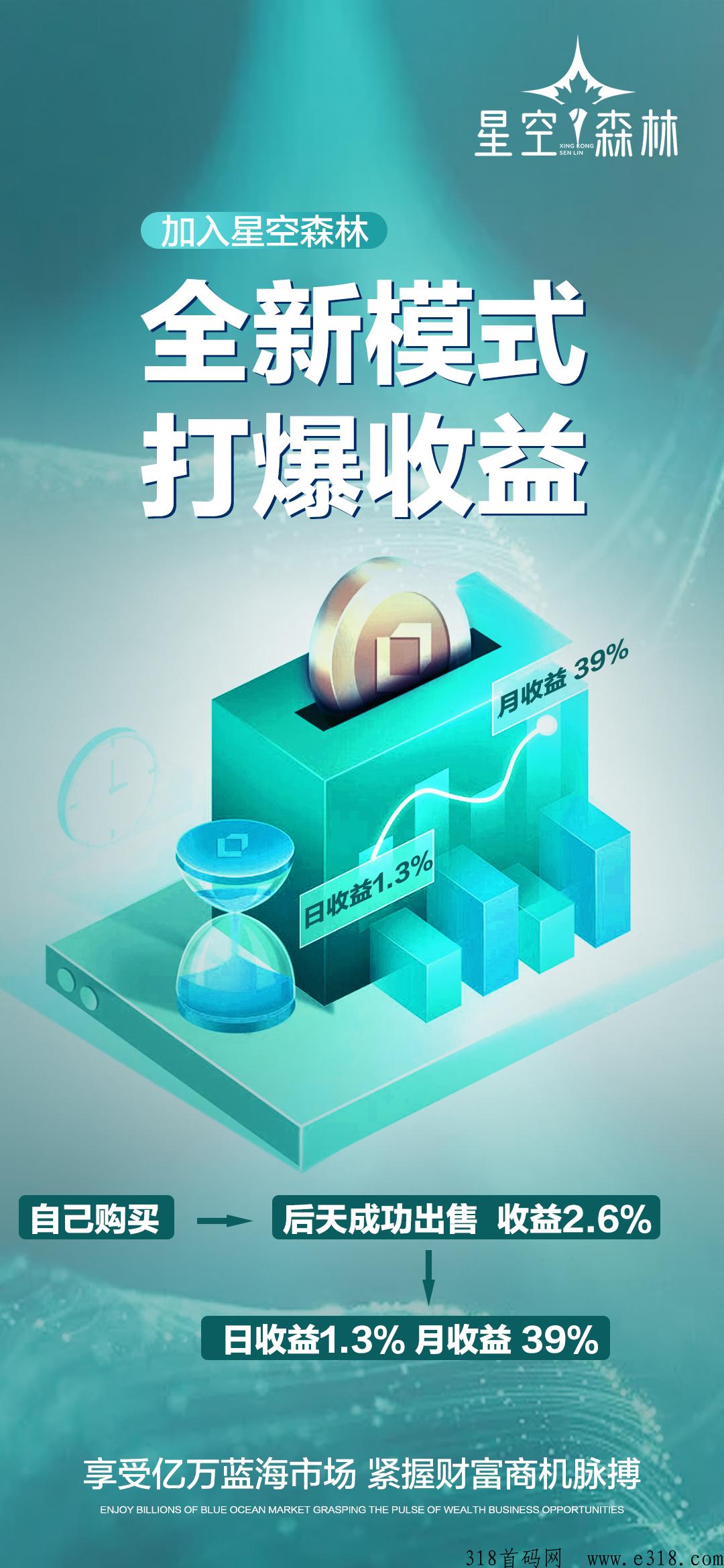 星空森林，下半年大盘，实体公司，全网对接