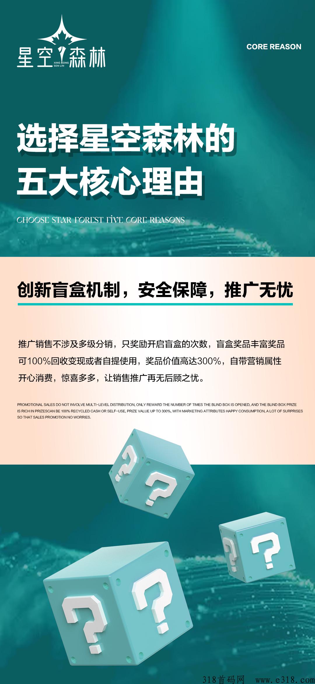 星空森林，下半年大盘，实体公司，全网对接