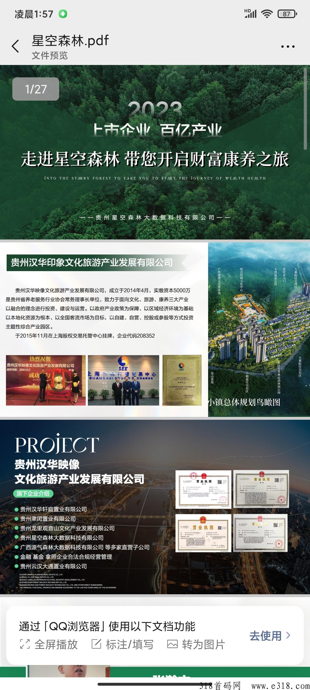 星空森林，下半年大盘，实体公司，全网对接