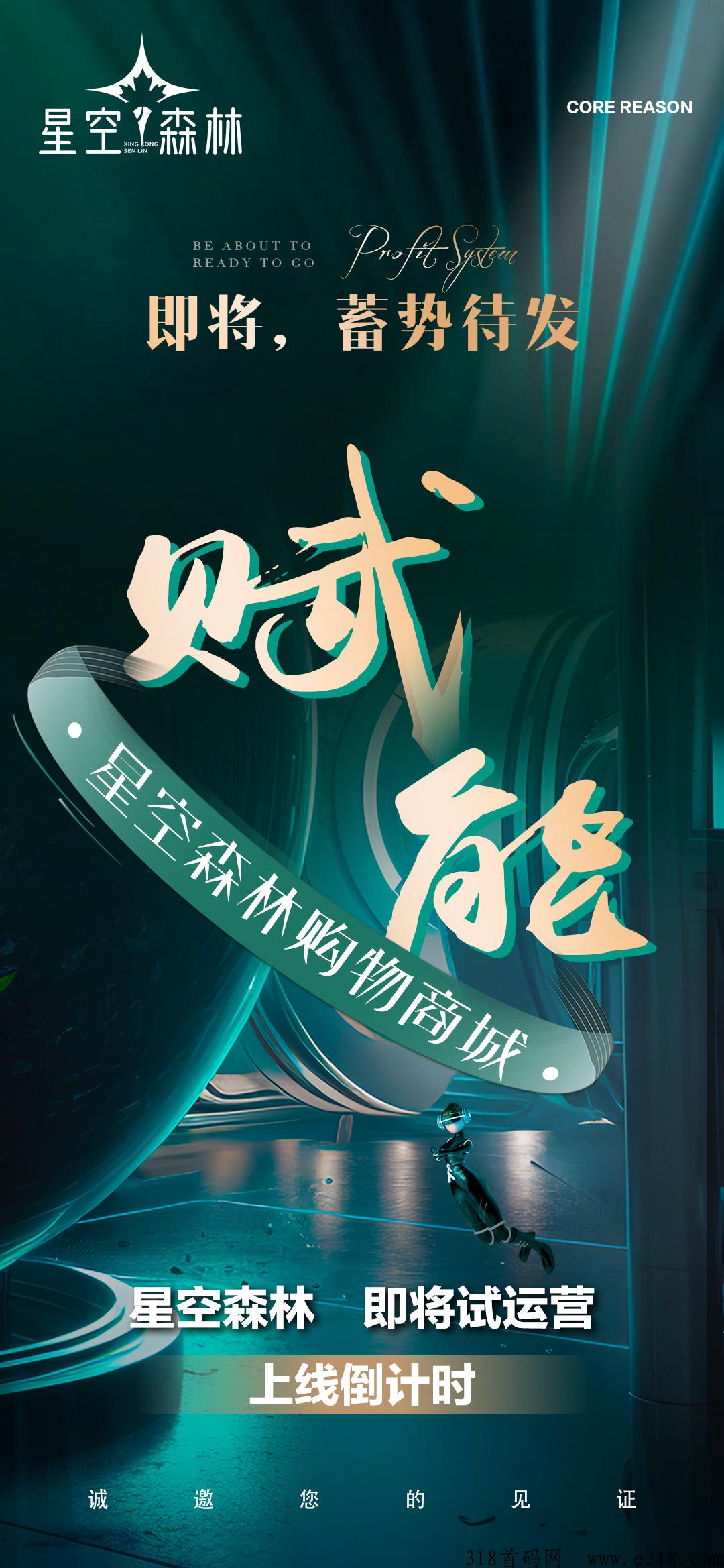星空森林，上市公司，全新模式