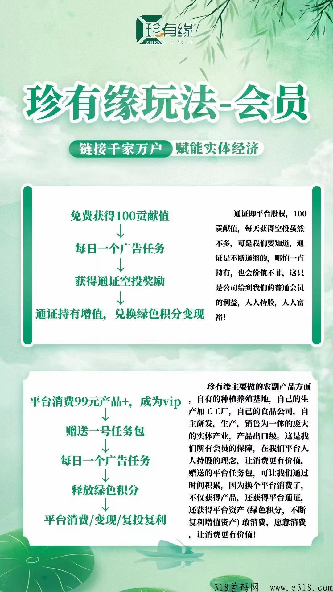 珍有缘，预热排线占位，月底上线