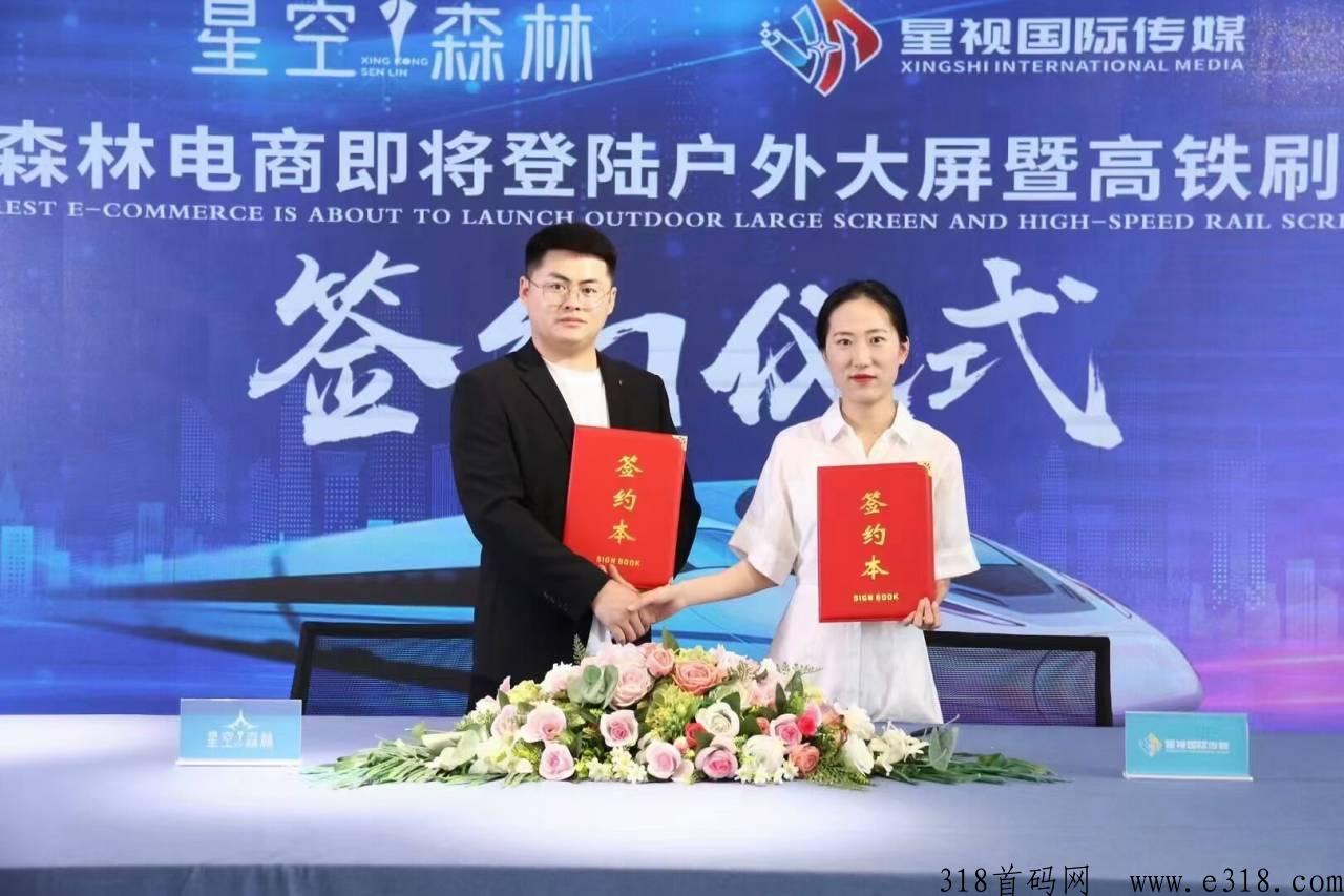 星空森林震撼来袭，竞拍新玩法，长久稳定大项目