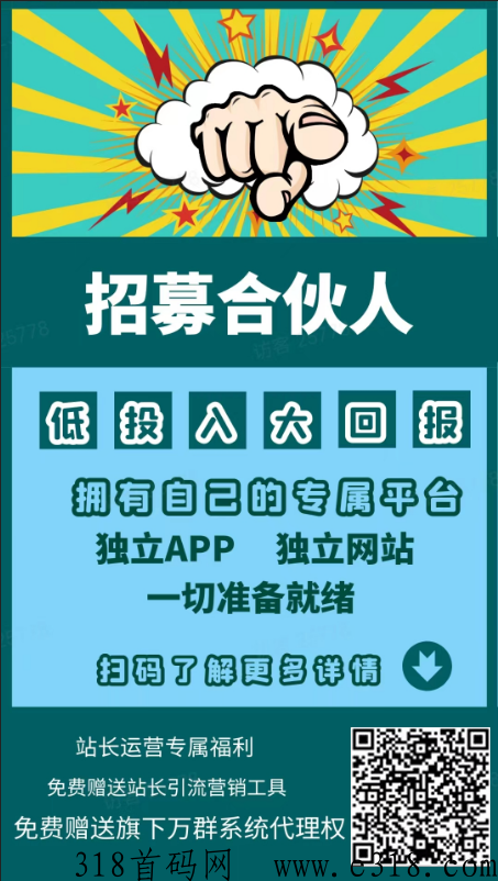 知识付费项目，资源站长平台，招募合伙人，低成本创业项目，小白也能快速起步