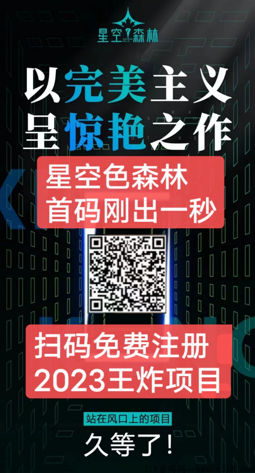 星空森林首码刚出一秒，第一批上车吃肉