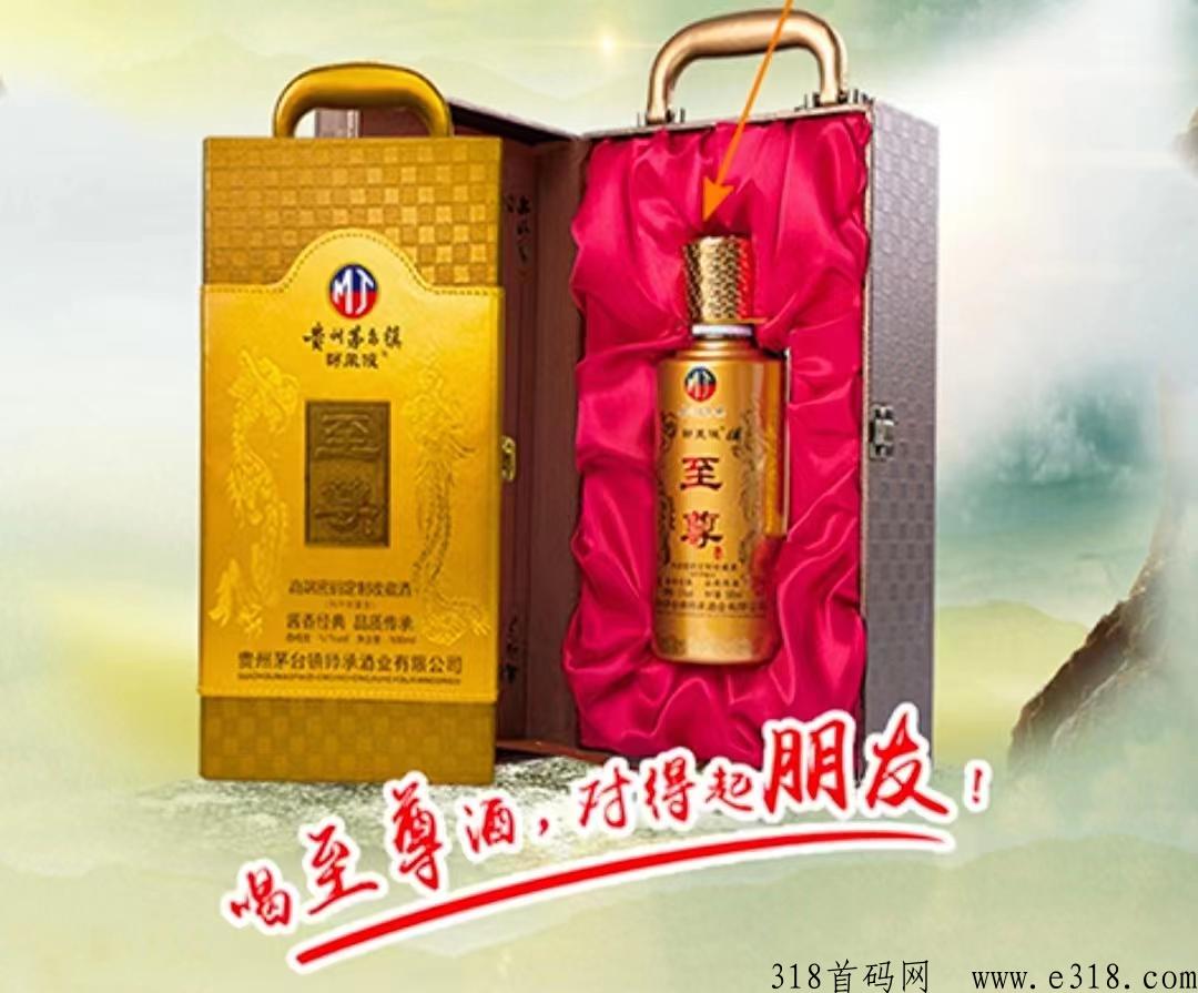 名酒城公测上线对接实力团队长合伙人
