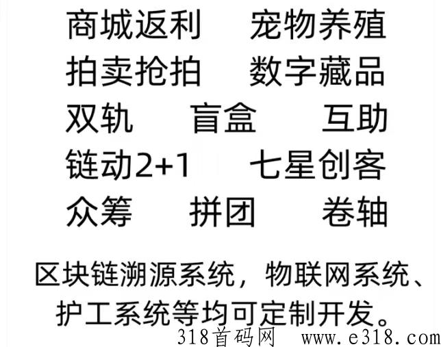 旅游卡项目，超低价拿卡，代理，分站均可，多种合作模式