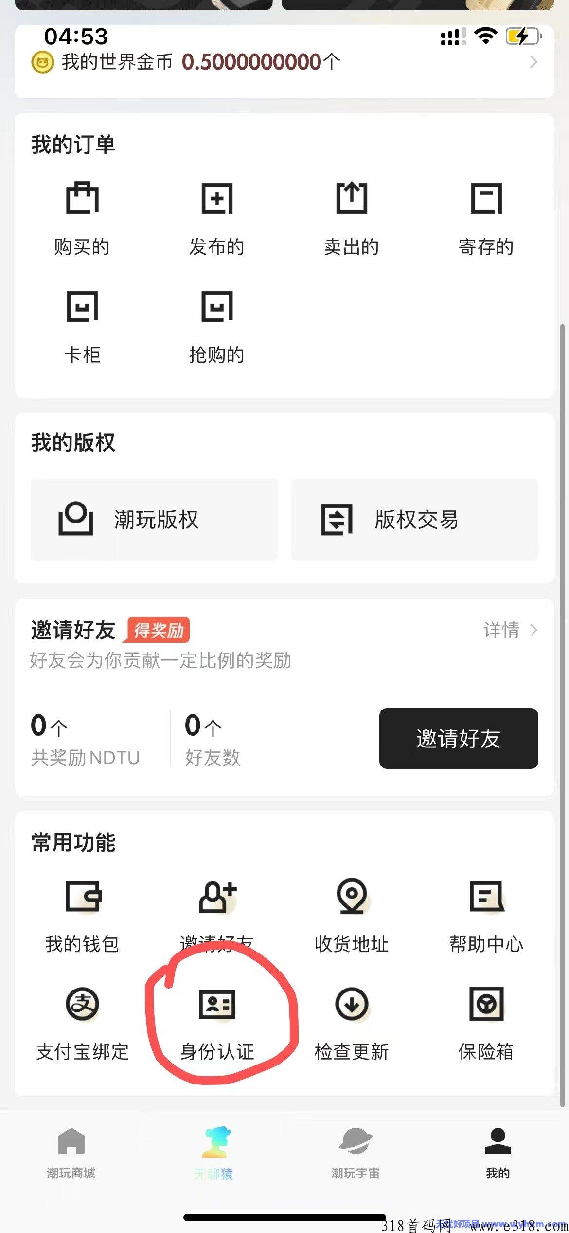 潮玩宇宙，无忧好项目，首码平台新项目政策顶
