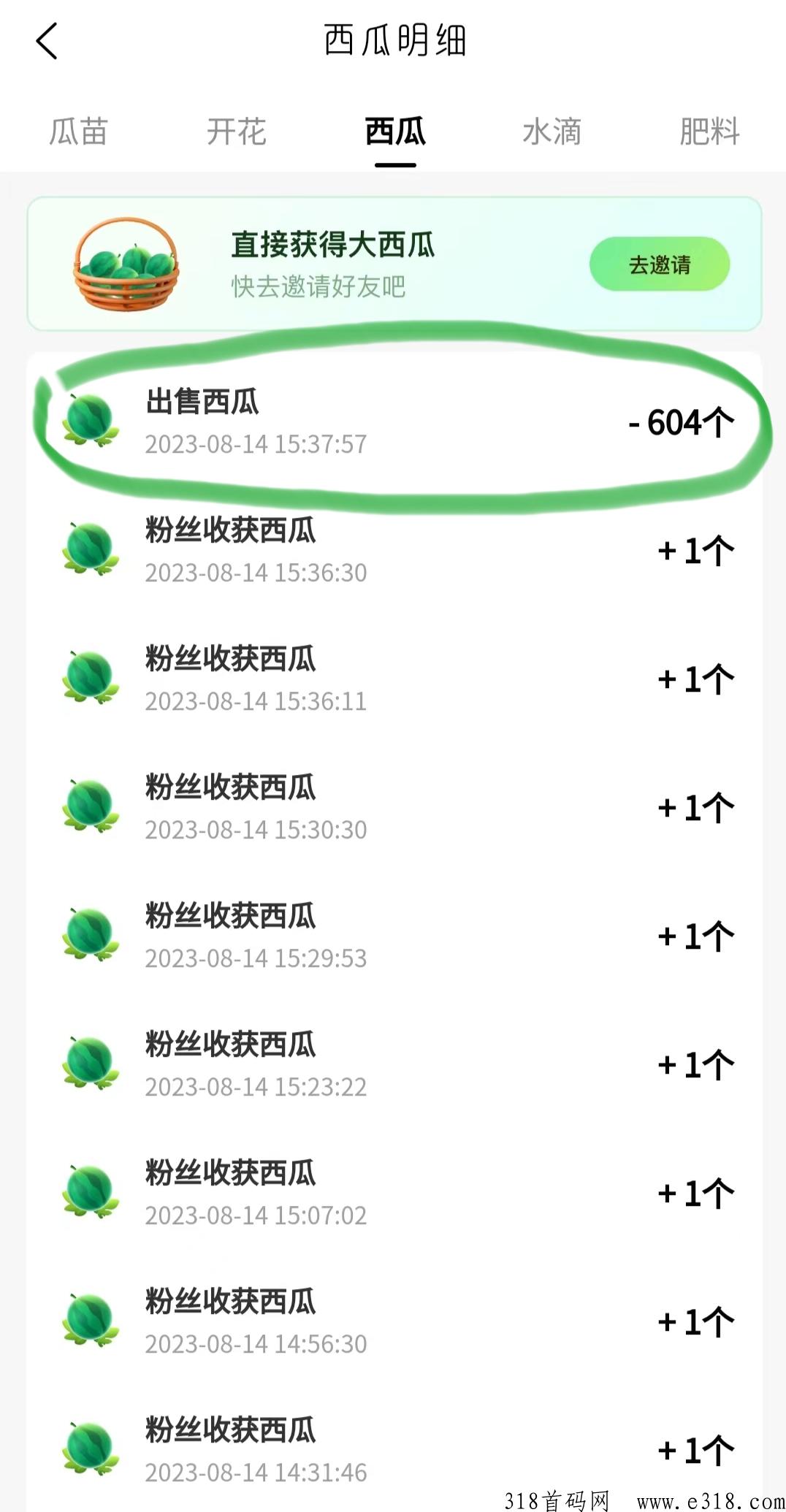 西皮购，最稳定的撸项目