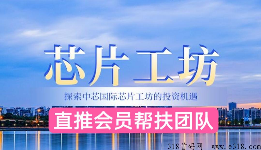 芯片工坊，如果长期稳定，将是网友理c首选