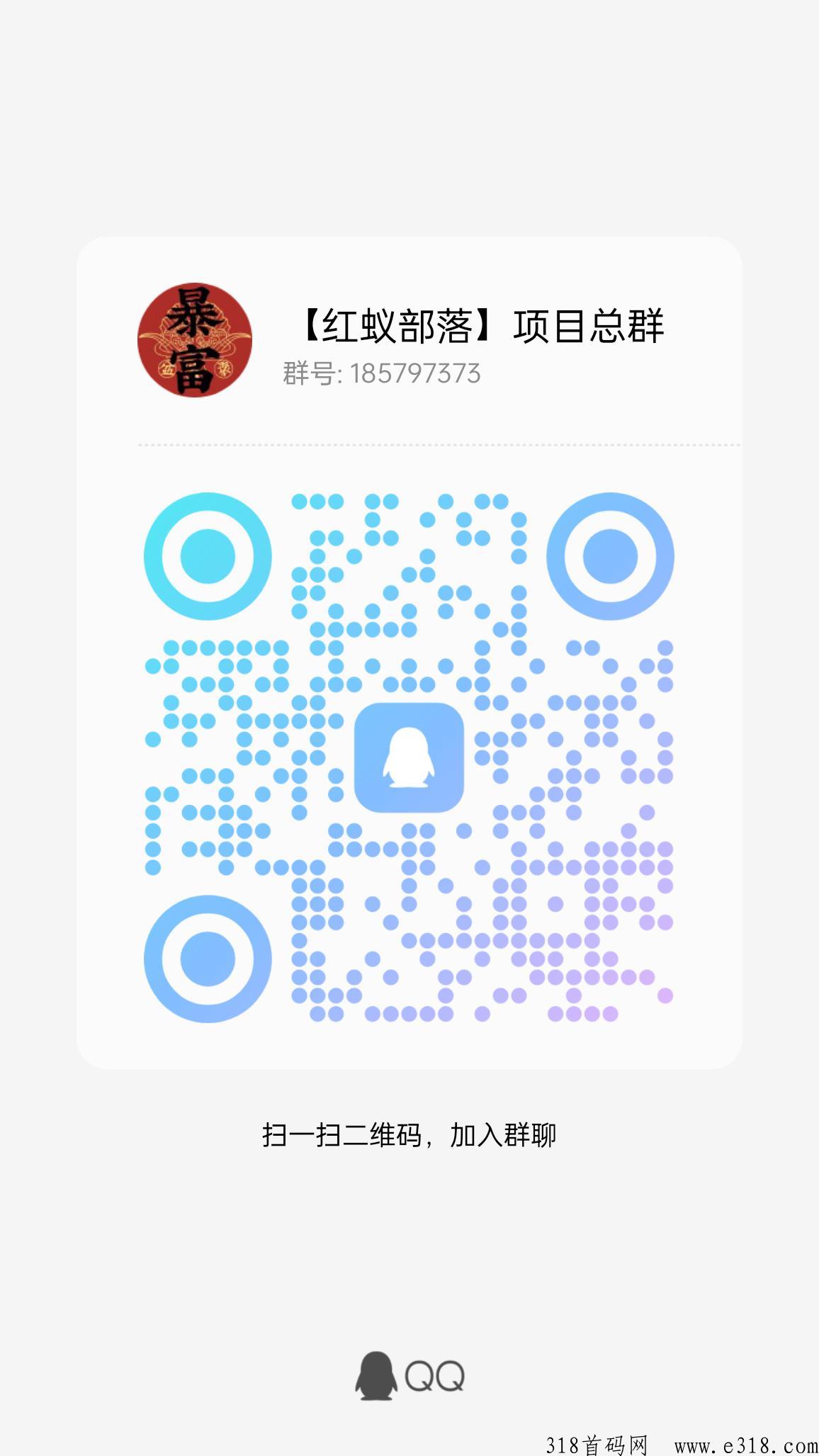 潮玩扭蛋兔，速度上车吃肉