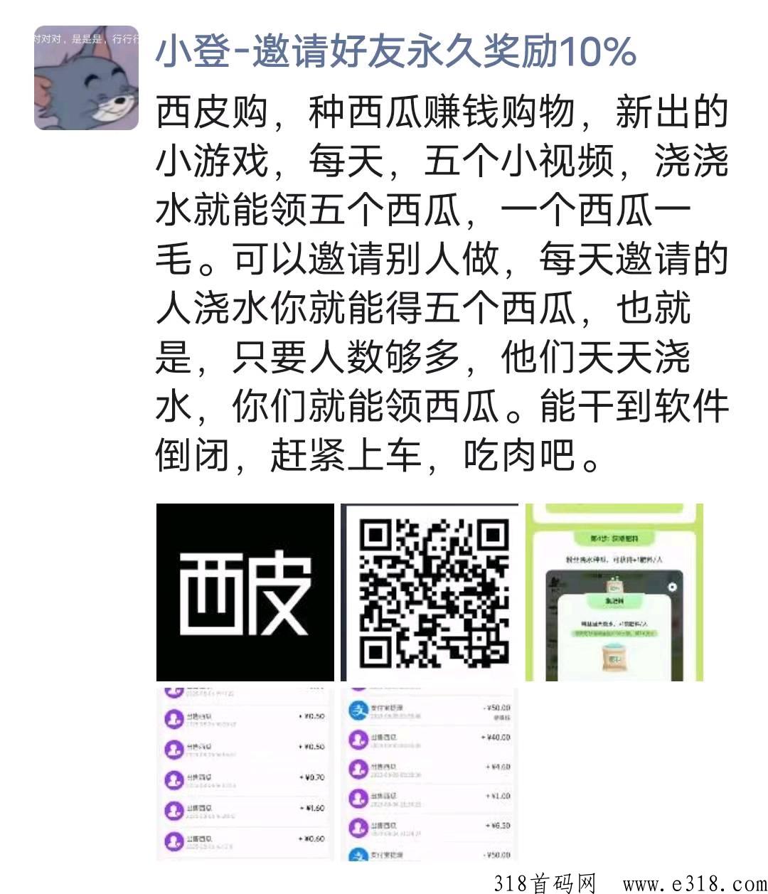 西皮购，稳定拉人好项目，前期分享后期躺赚