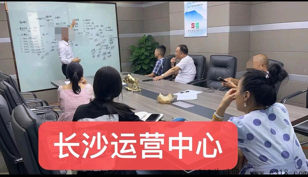 AI树智马上启动