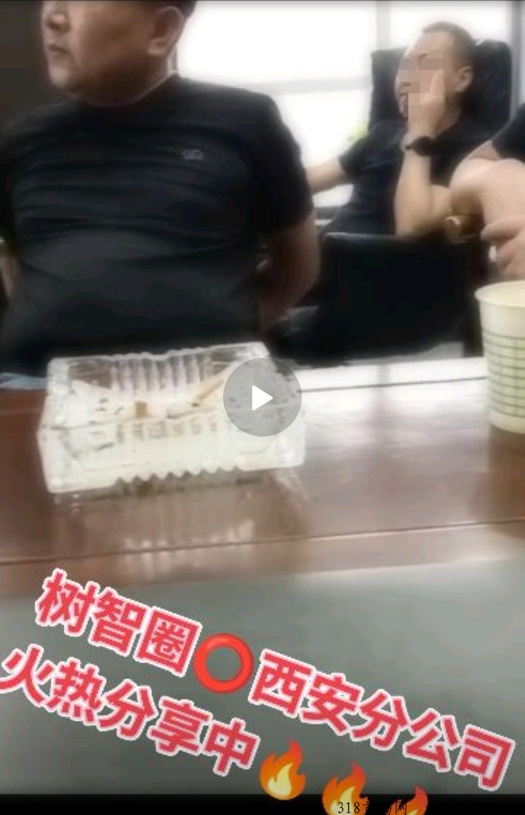 AI树智马上启动