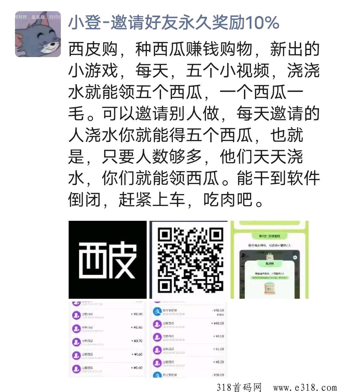 西皮购 ，地推拉新好项目