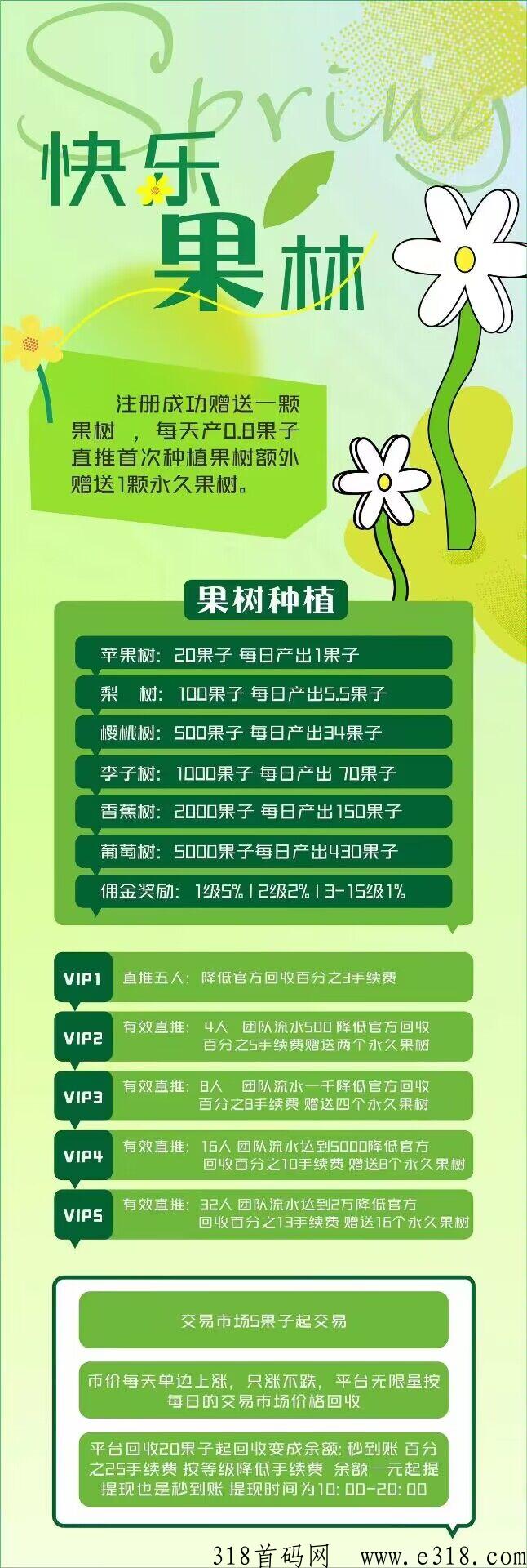 快乐果林首码上线，又一个龙魂大陆来了