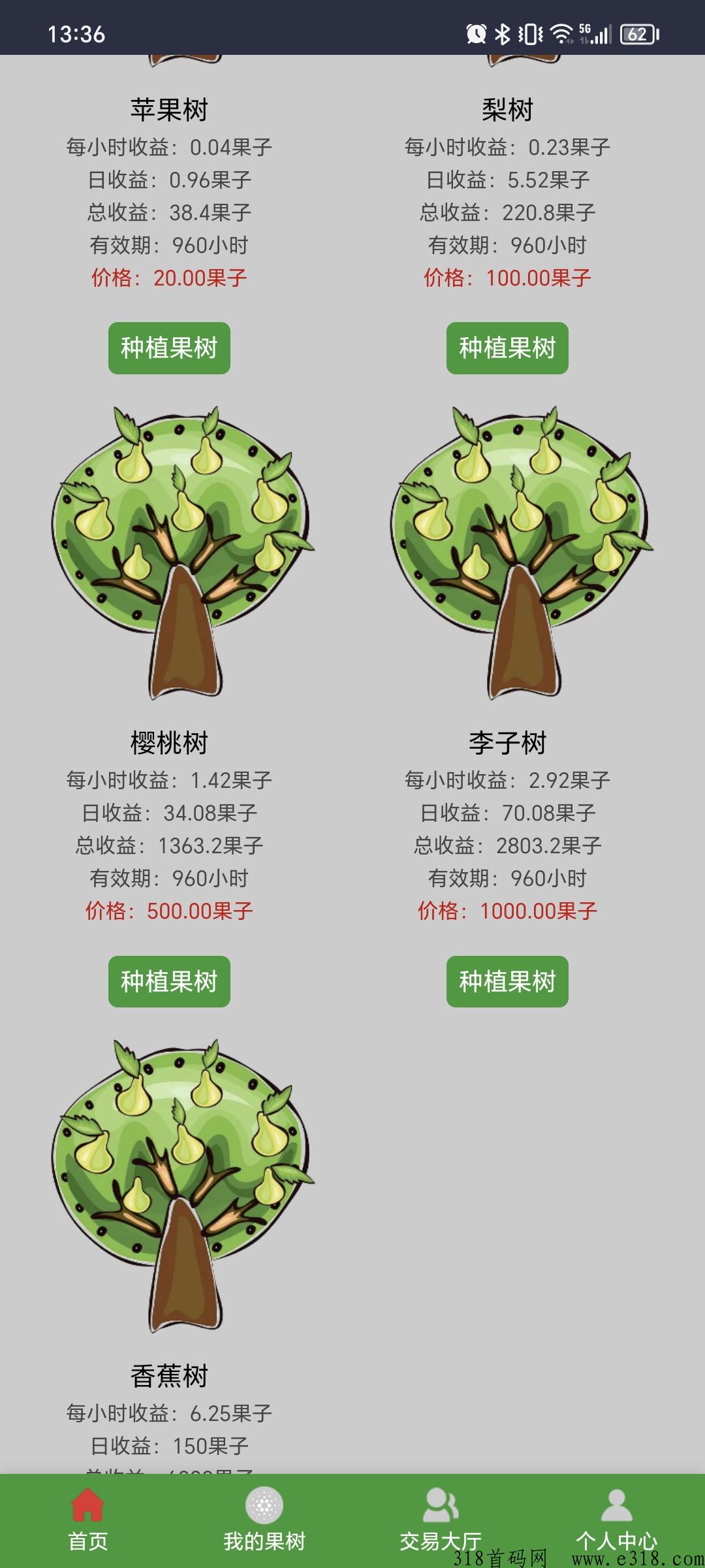 快乐果林首码上线，又一个龙魂大陆来了
