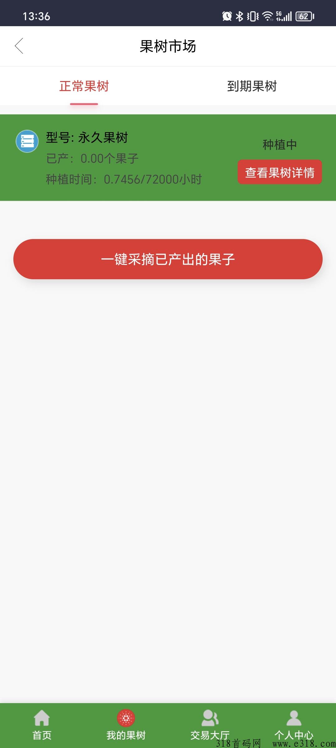 快乐果林首码上线，又一个龙魂大陆来了
