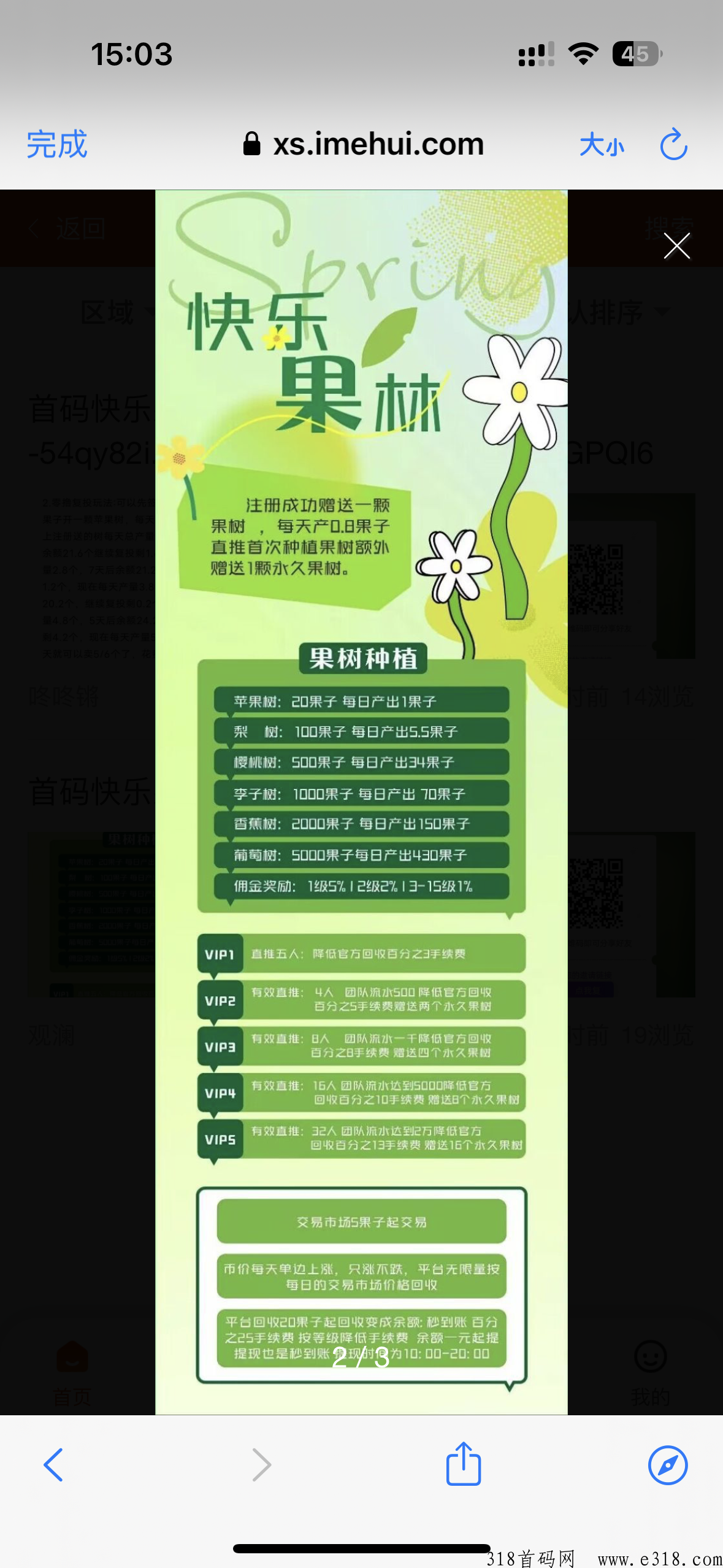 今日首码快乐果林