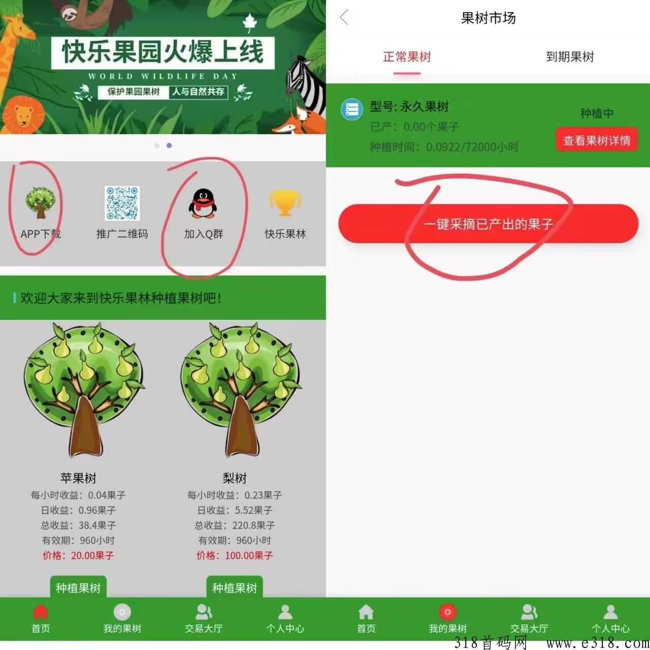 首码快乐果林，送永久任务包每天一键领取