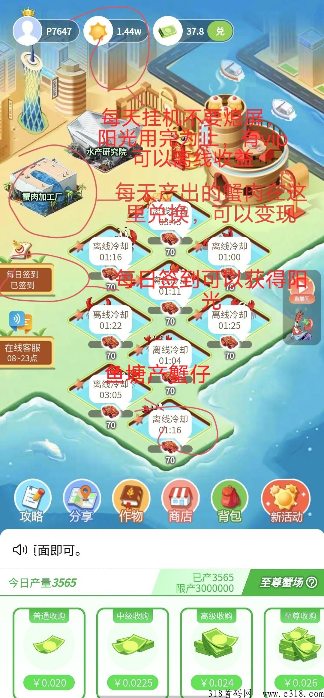 新项目阳光蟹场，早上车早吃肉
