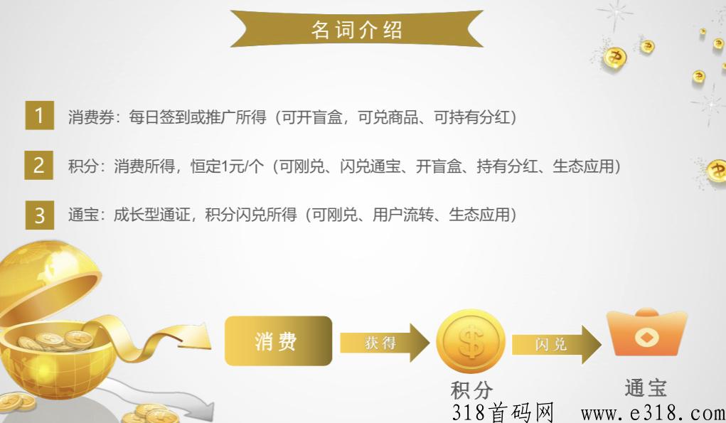 民商汇最强新模式！年底吃肉项目！全网对接团队长！