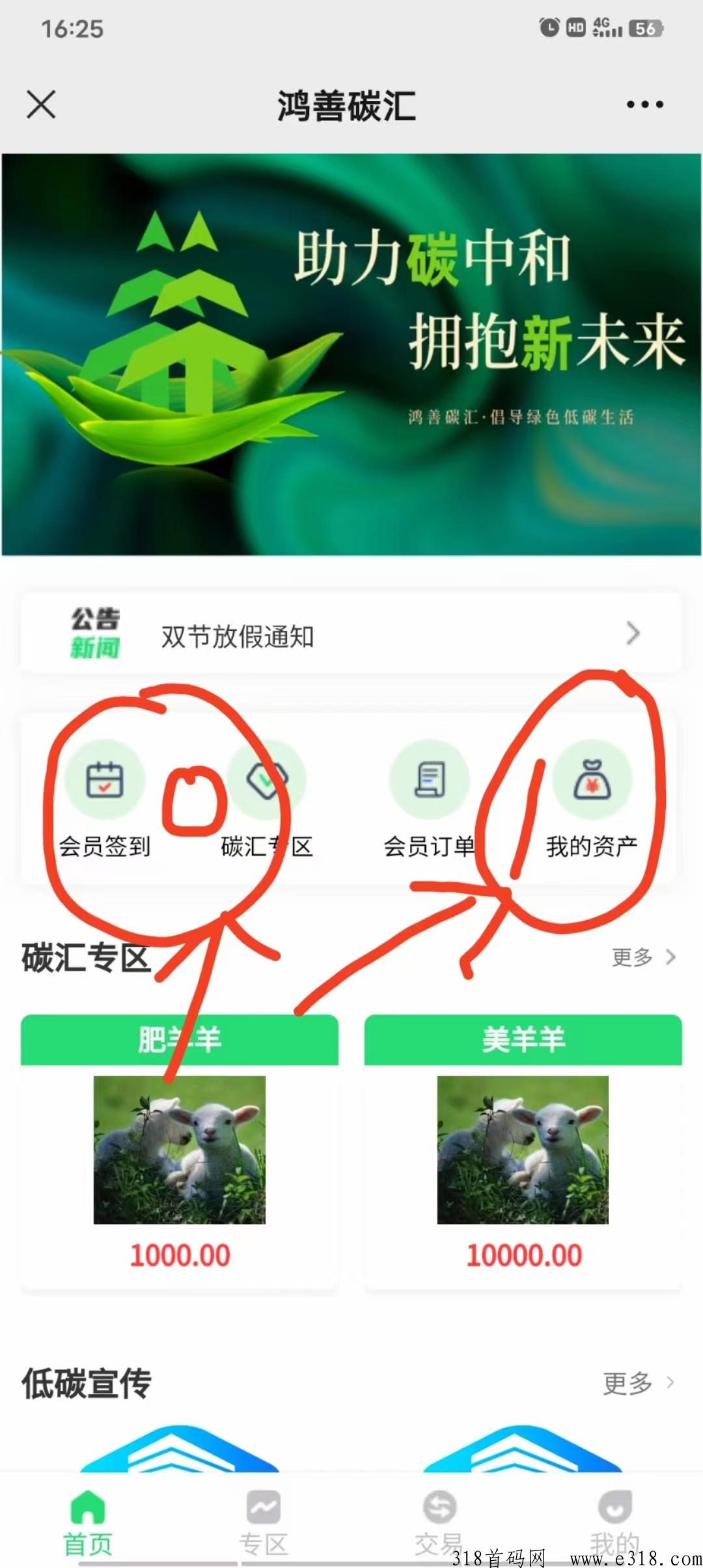 首码鸿善碳汇，目前一个价高