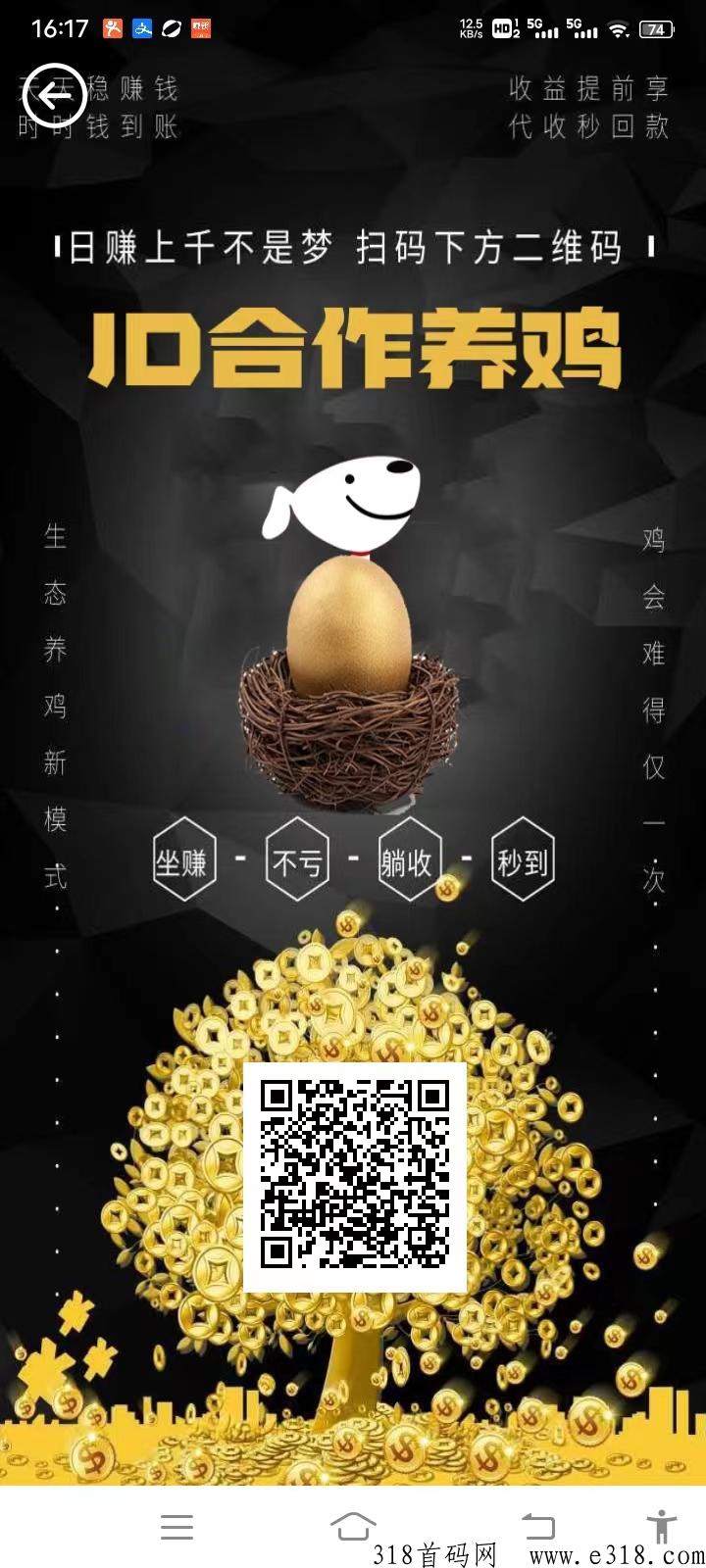 JD合作养鸡，签个到就行了