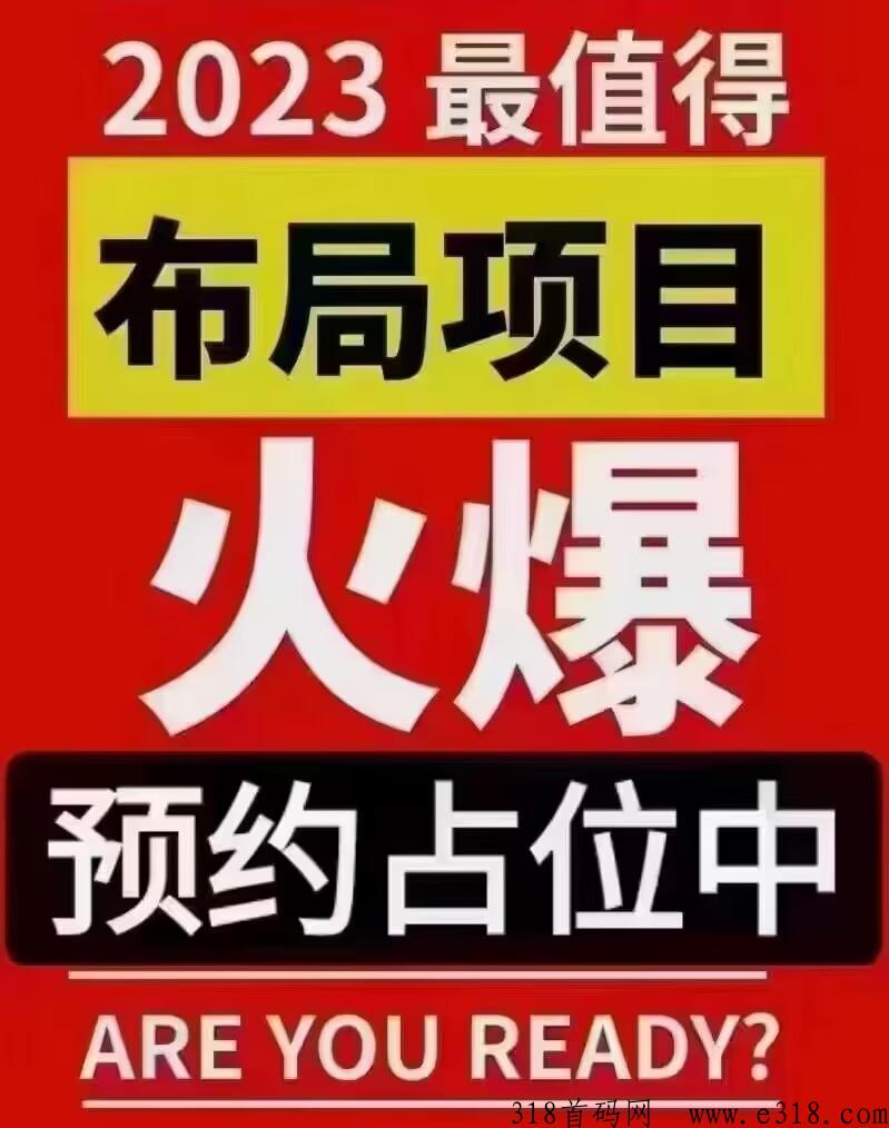【超省】错过趣吧的不要错过首创分段式公排，0泡沫，团队福利拉满，王炸跨年大项目
