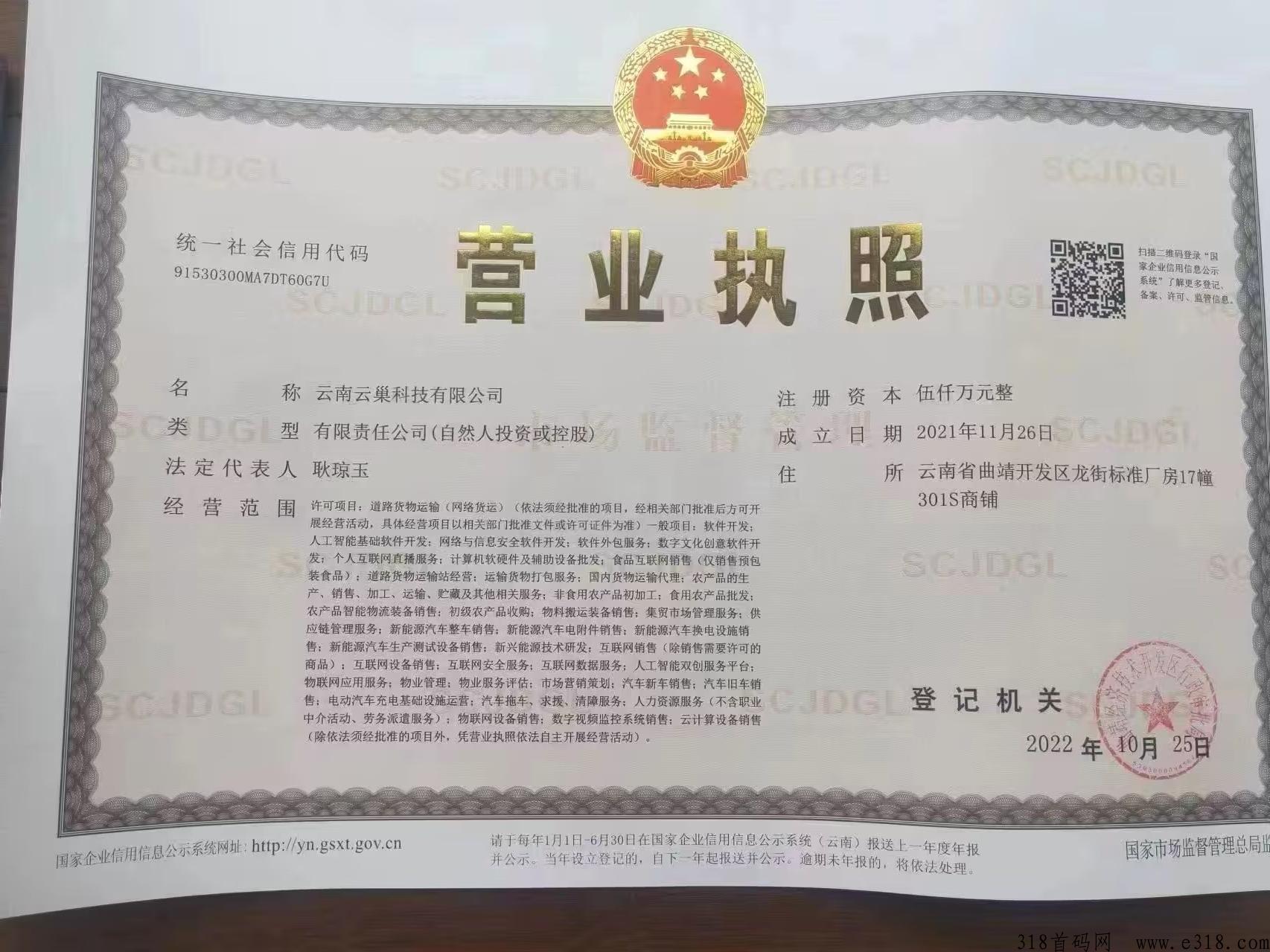 云巢国际首码，生活刚需消费多少补贴多少，消费就是工作