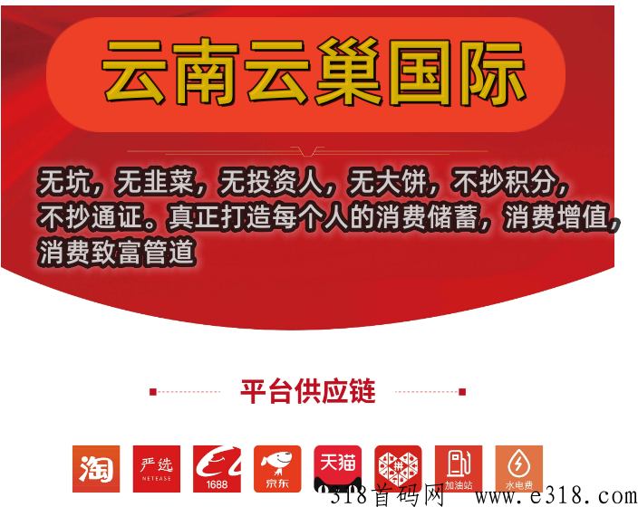 云巢国际首码，生活刚需消费多少补贴多少，消费就是工作
