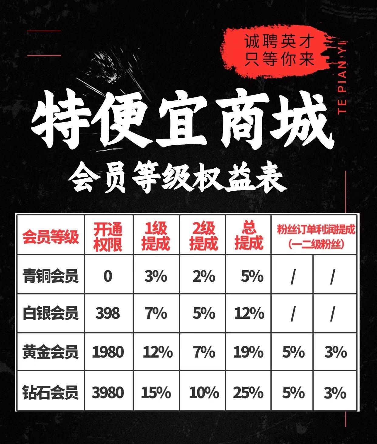 特便宜无货源电商到底怎么做？