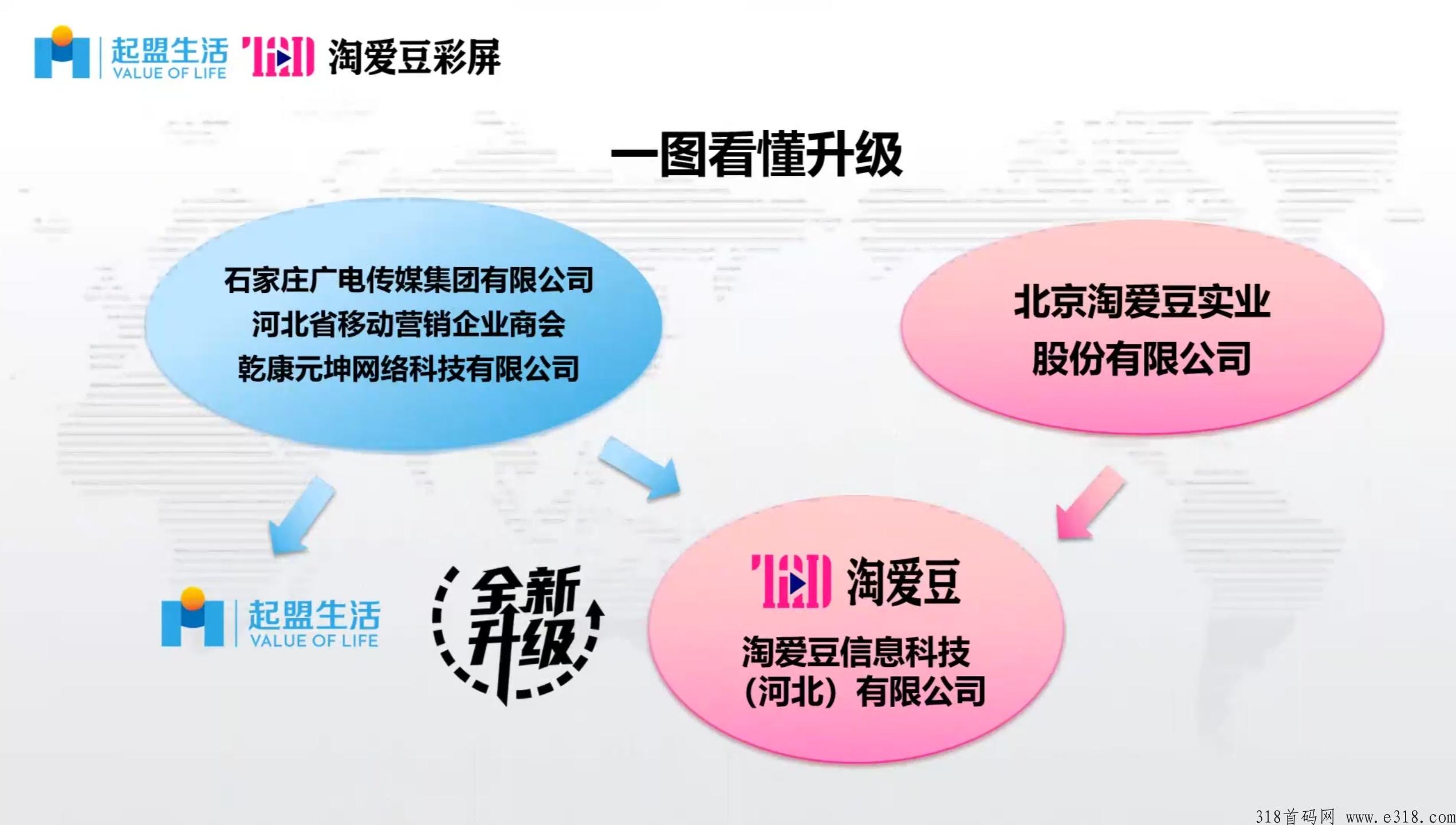 淘爱豆生活2024龙年最火最劲爆项目