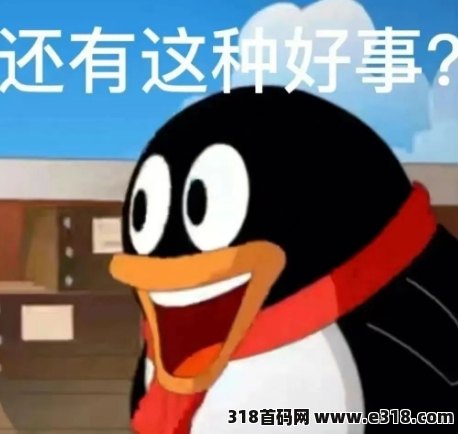 云巢国际全补贴，适合老百姓创业平台