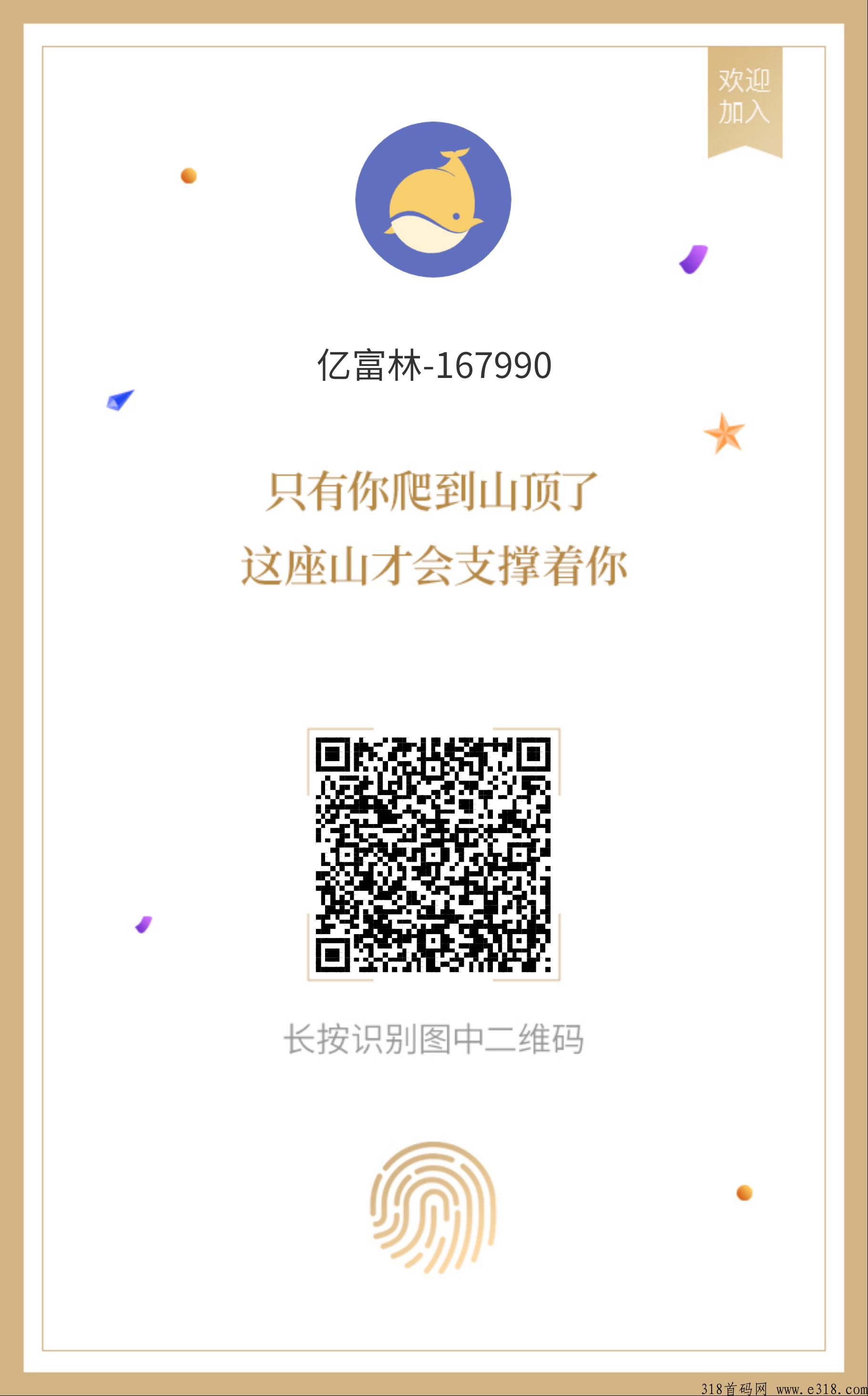 亿富林首码，多米模式