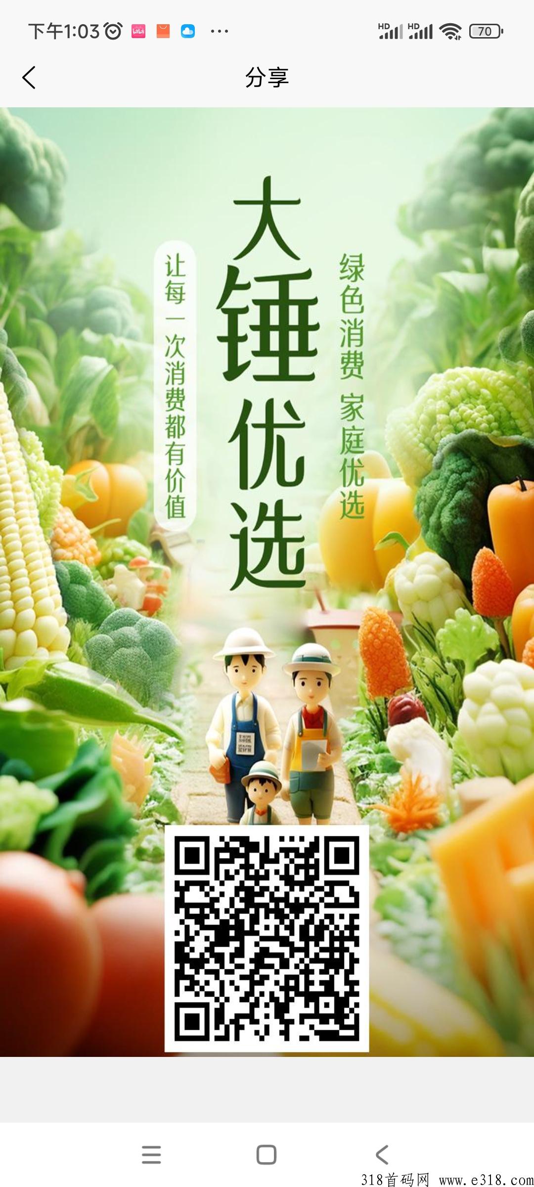 大锤优选邀请码，首码项目发布