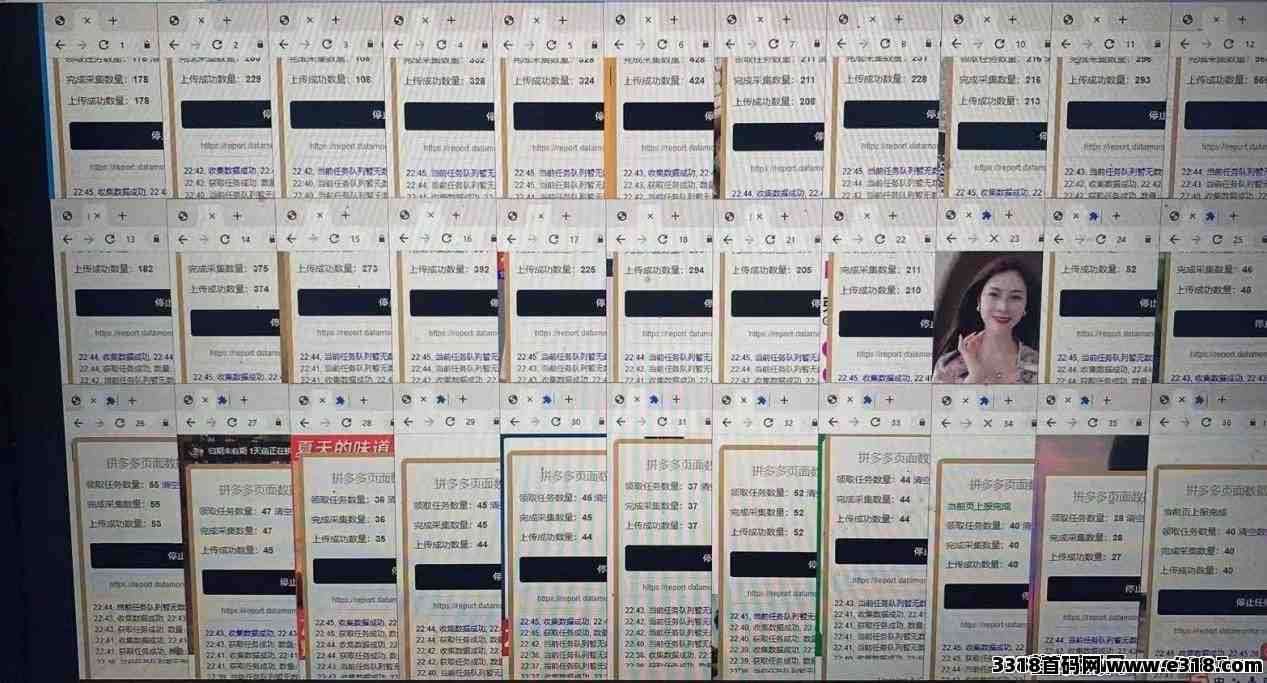 【拼多多，京东】采集挂机项目  日赚200＋