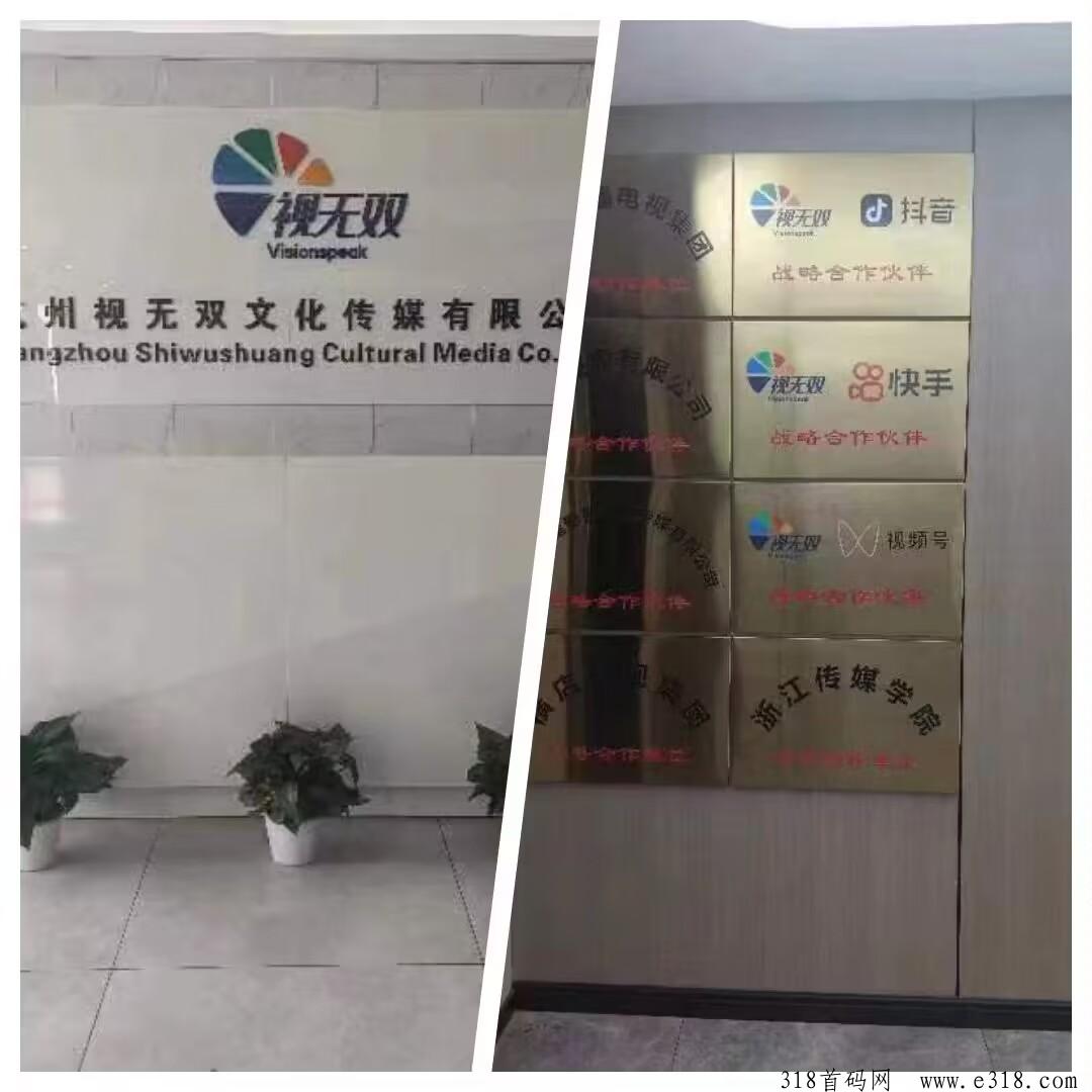 视无双2024：黑马项目即将于本月启动