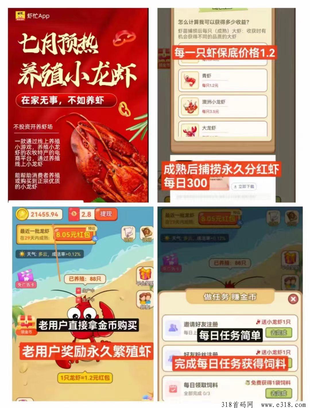 虾忙，星星短剧旗下二台，每日观看视频领饲料，每次捕捞成熟虾有机会获得永久分红虾