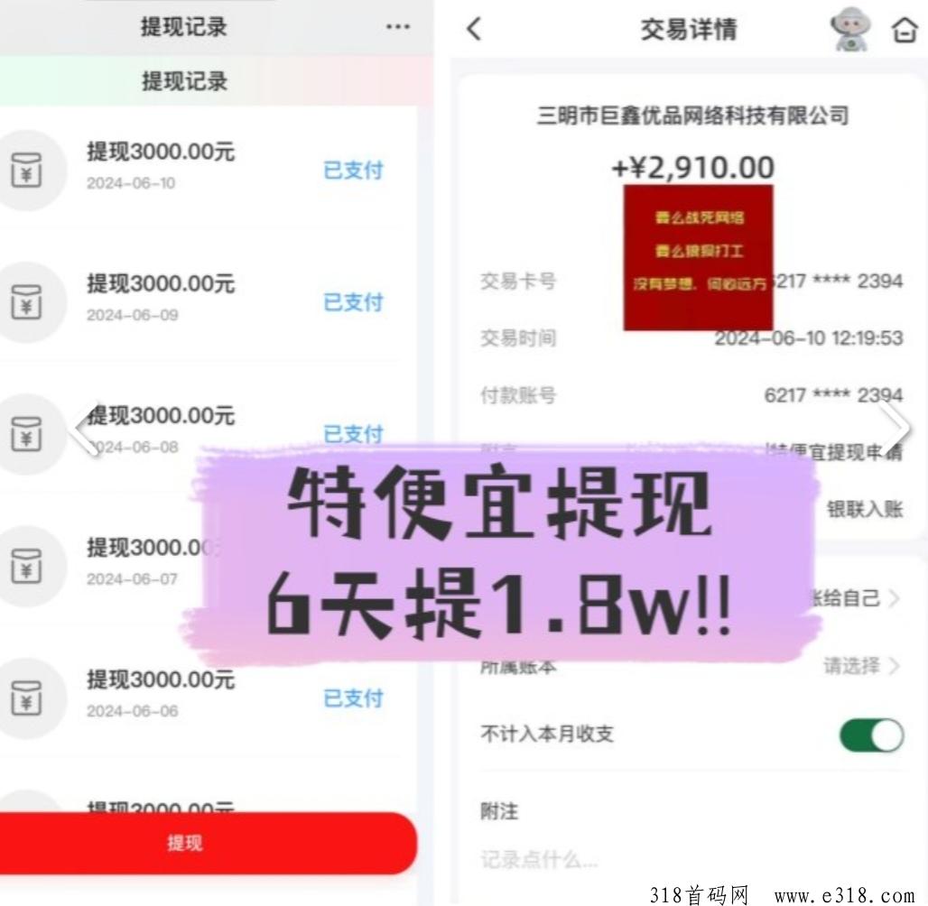 特便宜，无货源电商掘金，零基础可上手