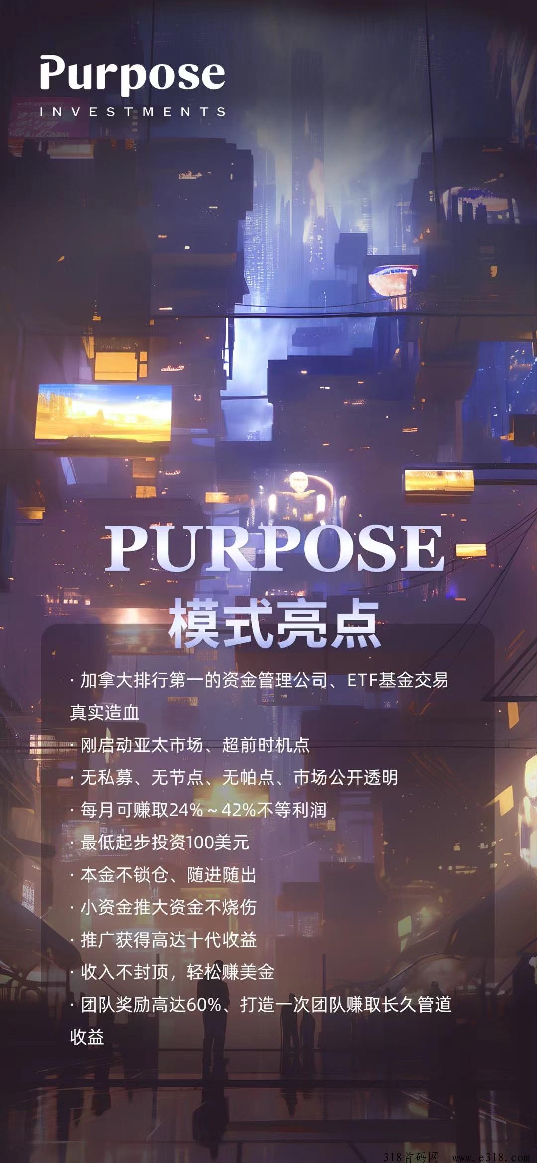 purpose  分投趣升级版 加拿大第一资产管理公司 不锁仓 简单粗暴