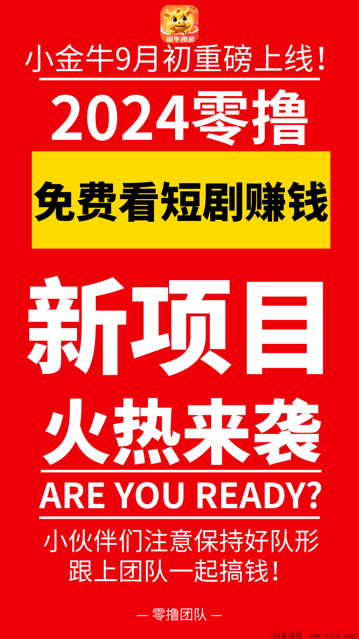 小金牛，零撸届的一颗新星，新项目即将筹备上线