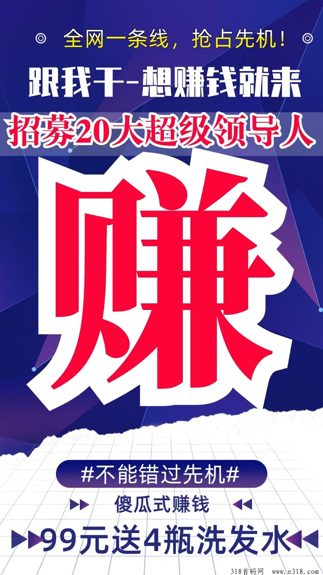 臻品玖玖，2024风口项目，占位就是第一批，新手也能捡米