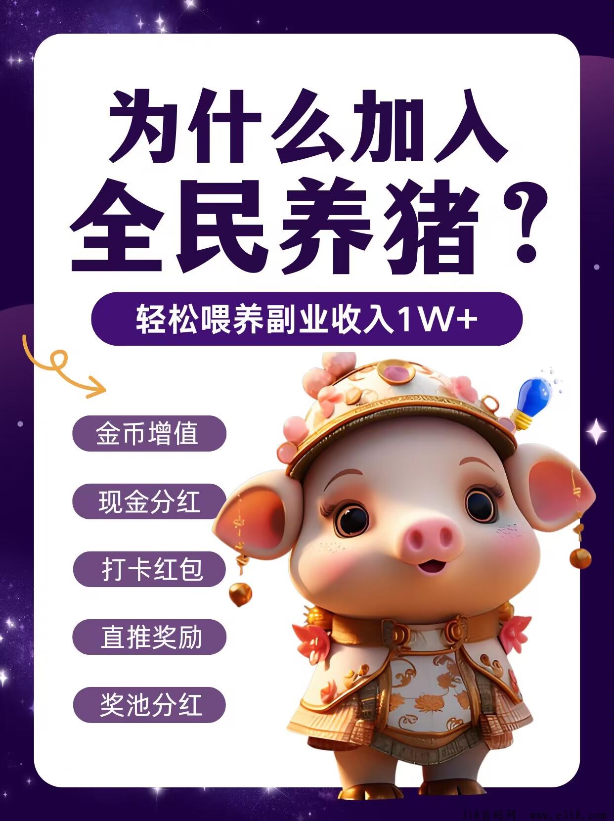 全民养猪，彻夜难眠的好项目，门槛低，帮你养一头金钱猪，摇钱猪